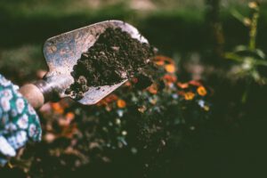 Tips duurzaam tuinieren beginners